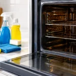 Best Products for Greasy Ovens That Work